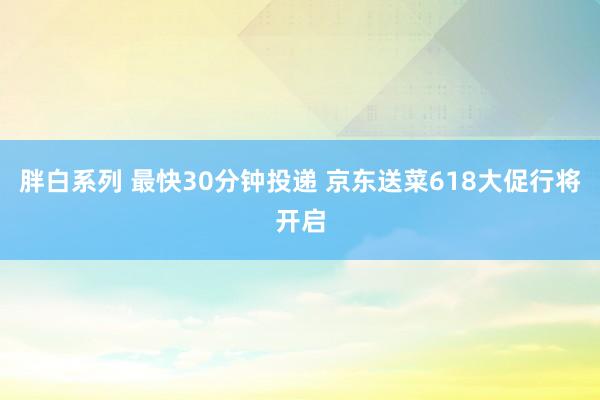 胖白系列 最快30分钟投递 京东送菜618大促行将开启