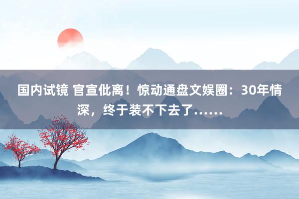 国内试镜 官宣仳离！惊动通盘文娱圈：30年情深，终于装不下去了……