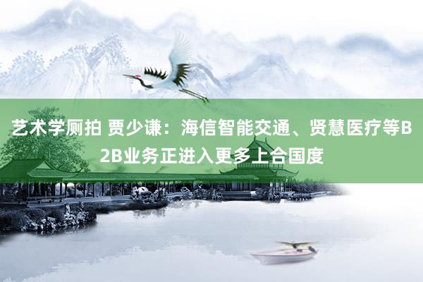 艺术学厕拍 贾少谦：海信智能交通、贤慧医疗等B2B业务正进入更多上合国度