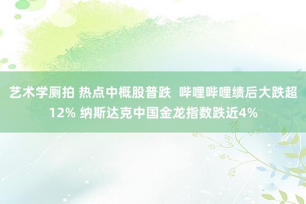 艺术学厕拍 热点中概股普跌  哔哩哔哩绩后大跌超12% 纳斯达克中国金龙指数跌近4%