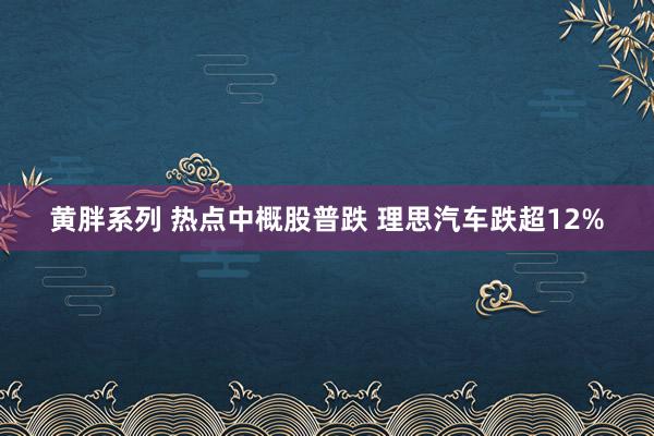 黄胖系列 热点中概股普跌 理思汽车跌超12%