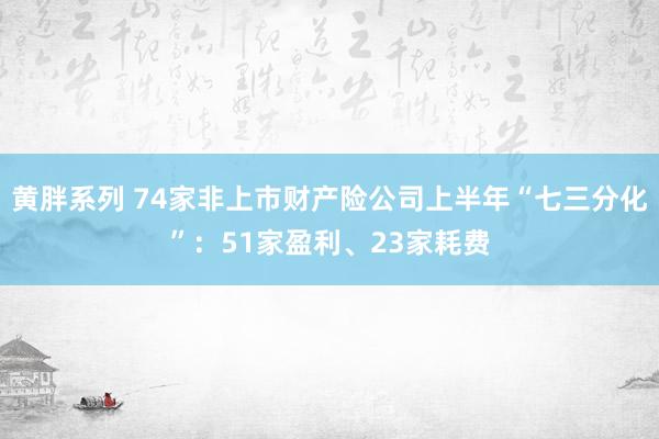 黄胖系列 74家非上市财产险公司上半年“七三分化”：51家盈利、23家耗费