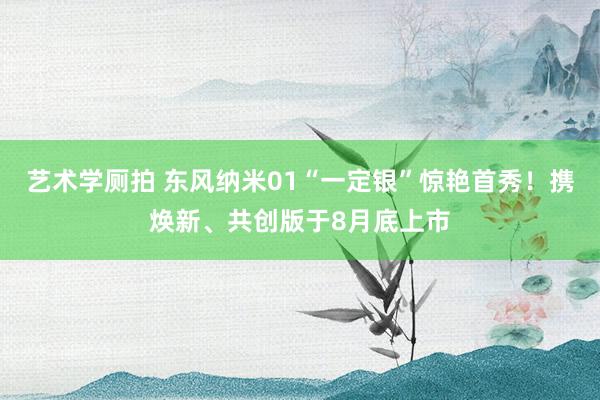 艺术学厕拍 东风纳米01“一定银”惊艳首秀！携焕新、共创版于8月底上市