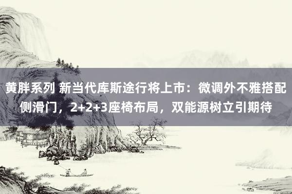 黄胖系列 新当代库斯途行将上市：微调外不雅搭配侧滑门，2+2+3座椅布局，双能源树立引期待