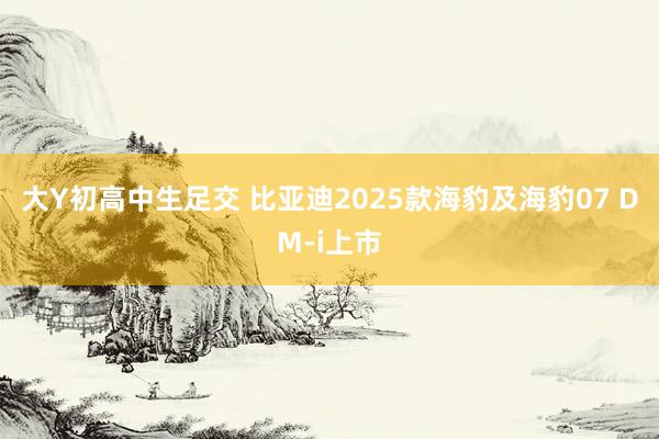 大Y初高中生足交 比亚迪2025款海豹及海豹07 DM-i上市