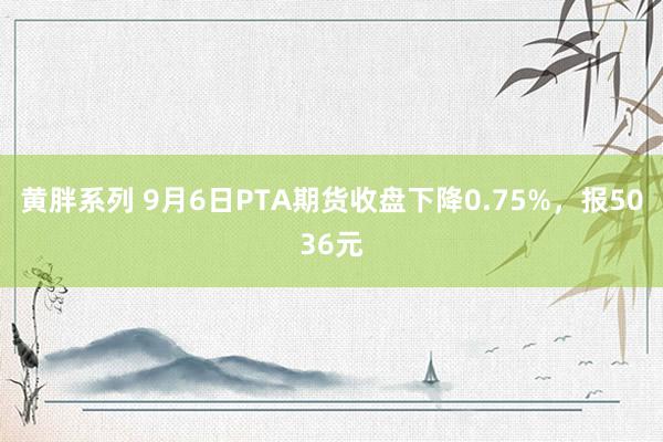 黄胖系列 9月6日PTA期货收盘下降0.75%，报5036元