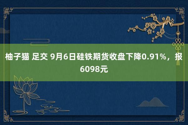 柚子猫 足交 9月6日硅铁期货收盘下降0.91%，报6098元