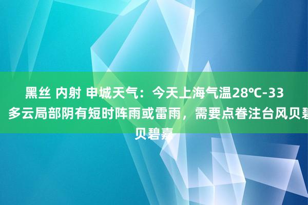 黑丝 内射 申城天气：今天上海气温28℃-33℃，多云局部阴有短时阵雨或雷雨，需要点眷注台风贝碧嘉