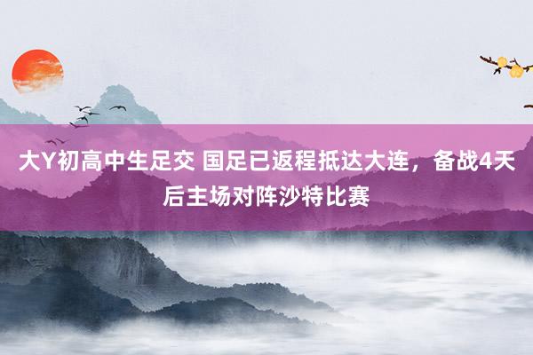 大Y初高中生足交 国足已返程抵达大连，备战4天后主场对阵沙特比赛