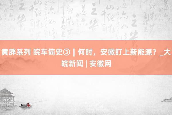 黄胖系列 皖车简史③∣何时，安徽盯上新能源？_大皖新闻 | 安徽网