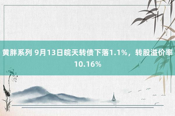 黄胖系列 9月13日皖天转债下落1.1%，转股溢价率10.16%