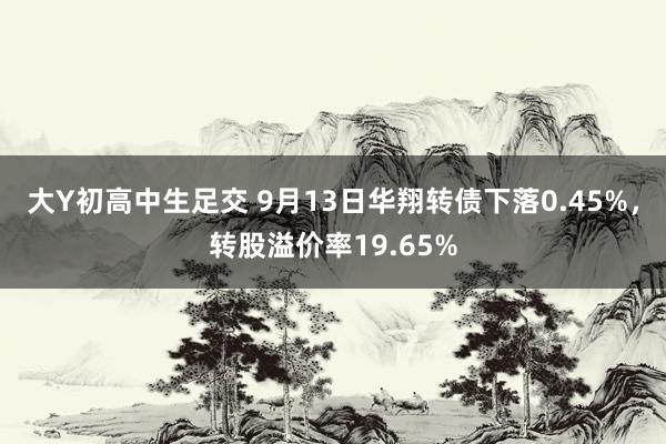 大Y初高中生足交 9月13日华翔转债下落0.45%，转股溢价率19.65%