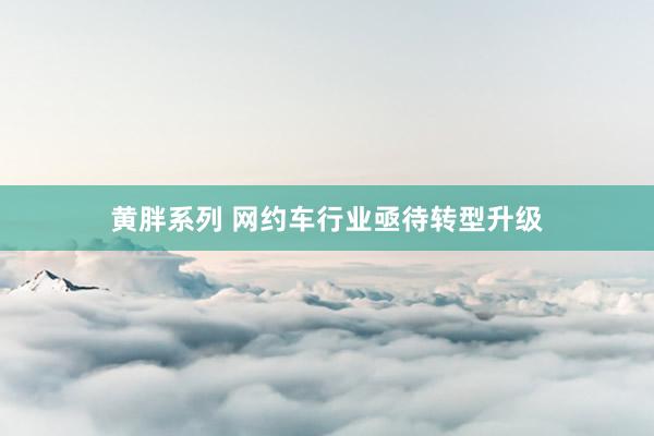 黄胖系列 网约车行业亟待转型升级