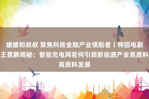 媛媛和叔叔 聚焦科技金融产业领航者丨特回电副总裁王昆鹏揭秘：智能充电网若何引颈新能源产业高质料发展