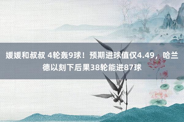 媛媛和叔叔 4轮轰9球！预期进球值仅4.49，哈兰德以刻下后果38轮能进87球