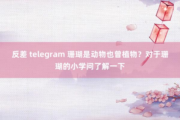 反差 telegram 珊瑚是动物也曾植物？对于珊瑚的小学问了解一下