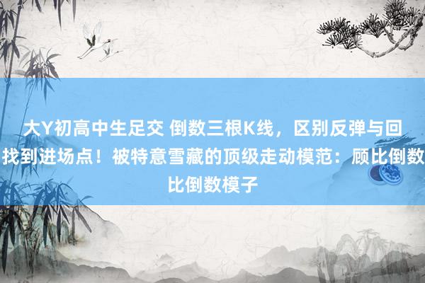 大Y初高中生足交 倒数三根K线，区别反弹与回转，找到进场点！被特意雪藏的顶级走动模范：顾比倒数模子