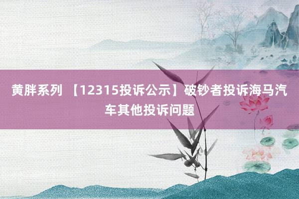 黄胖系列 【12315投诉公示】破钞者投诉海马汽车其他投诉问题