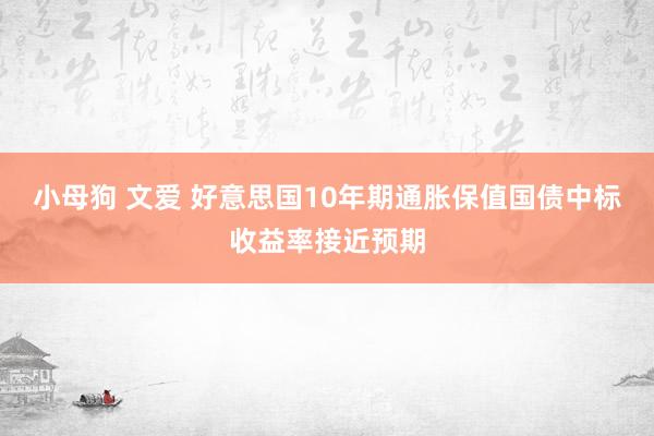 小母狗 文爱 好意思国10年期通胀保值国债中标收益率接近预期