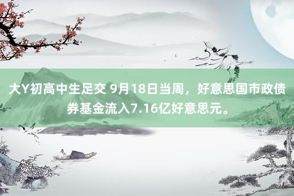 大Y初高中生足交 9月18日当周，好意思国市政债券基金流入7.16亿好意思元。