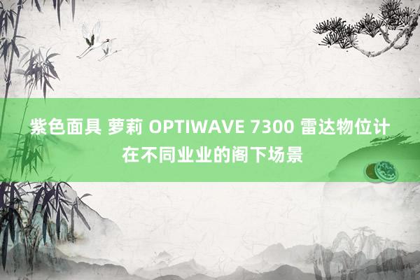 紫色面具 萝莉 OPTIWAVE 7300 雷达物位计 在不同业业的阁下场景