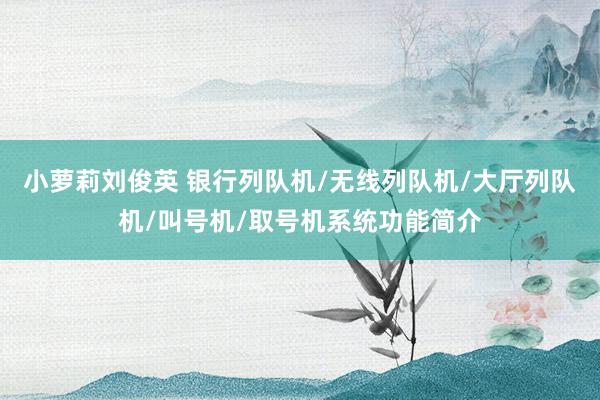 小萝莉刘俊英 银行列队机/无线列队机/大厅列队机/叫号机/取号机系统功能简介