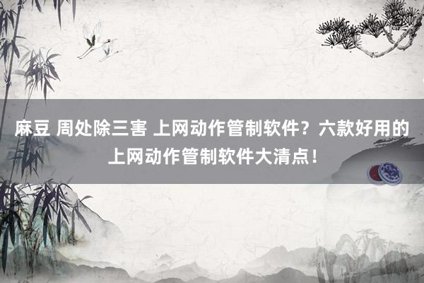 麻豆 周处除三害 上网动作管制软件？六款好用的上网动作管制软件大清点！