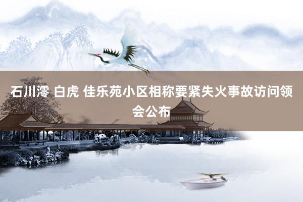 石川澪 白虎 佳乐苑小区相称要紧失火事故访问领会公布