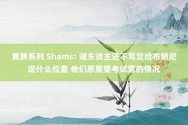 黄胖系列 Shams: 湖东谈主还不笃定给布朗尼定什么位置 他们思望望考试营的情况