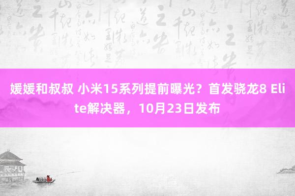 媛媛和叔叔 小米15系列提前曝光？首发骁龙8 Elite解决器，10月23日发布