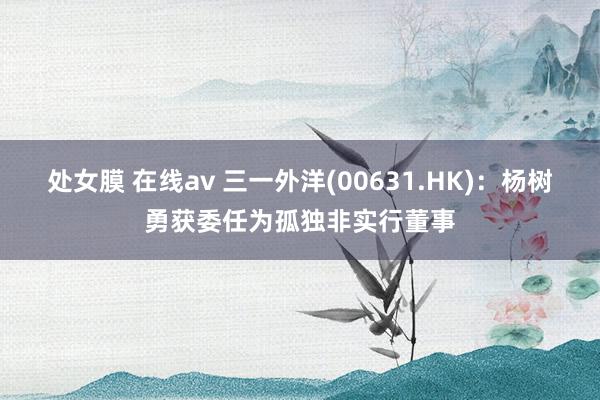 处女膜 在线av 三一外洋(00631.HK)：杨树勇获委任为孤独非实行董事