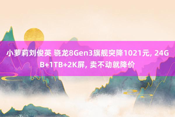 小萝莉刘俊英 骁龙8Gen3旗舰突降1021元， 24GB+1TB+2K屏， 卖不动就降价