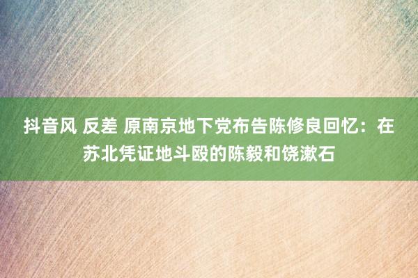 抖音风 反差 原南京地下党布告陈修良回忆：在苏北凭证地斗殴的陈毅和饶漱石