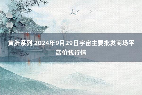 黄胖系列 2024年9月29日宇宙主要批发商场平菇价钱行情