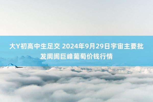 大Y初高中生足交 2024年9月29日宇宙主要批发阛阓巨峰葡萄价钱行情