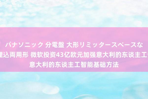 パナソニック 分電盤 大形リミッタースペースなし 露出・半埋込両用形 微软投资43亿欧元加强意大利的东谈主工智能基础方法