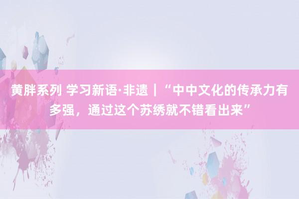 黄胖系列 学习新语·非遗｜“中中文化的传承力有多强，通过这个苏绣就不错看出来”