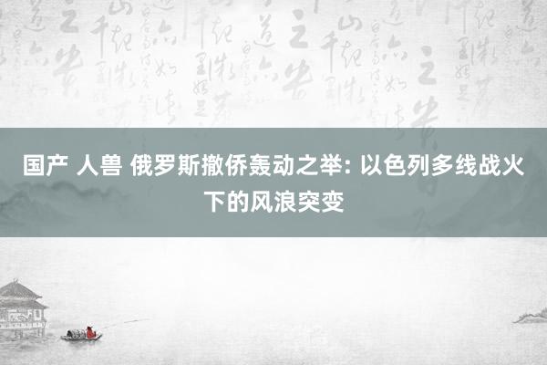 国产 人兽 俄罗斯撤侨轰动之举: 以色列多线战火下的风浪突变