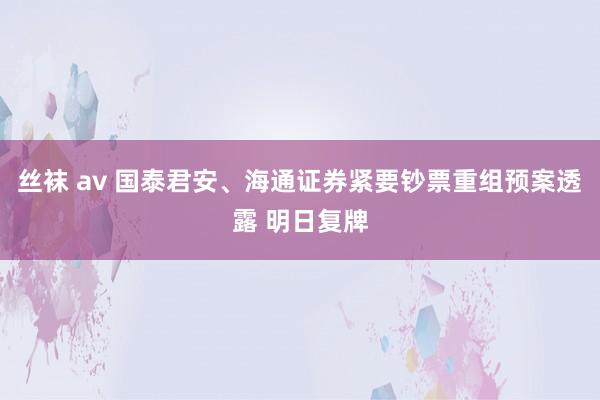 丝袜 av 国泰君安、海通证券紧要钞票重组预案透露 明日复牌