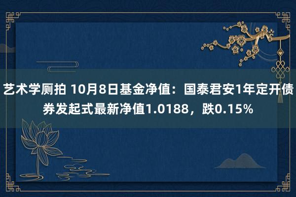 艺术学厕拍 10月8日基金净值：国泰君安1年定开债券发起式最新净值1.0188，跌0.15%