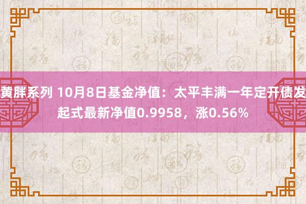 黄胖系列 10月8日基金净值：太平丰满一年定开债发起式最新净值0.9958，涨0.56%