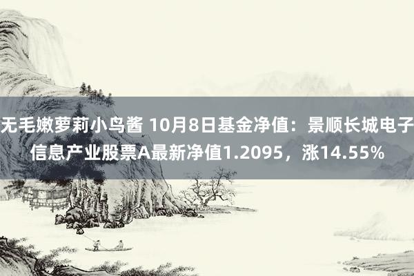 无毛嫩萝莉小鸟酱 10月8日基金净值：景顺长城电子信息产业股票A最新净值1.2095，涨14.55%