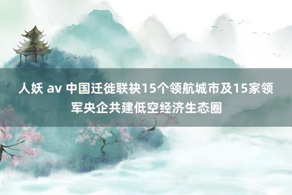 人妖 av 中国迁徙联袂15个领航城市及15家领军央企共建低空经济生态圈