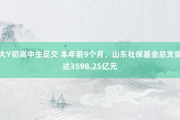 大Y初高中生足交 本年前9个月，山东社保基金总支拨达3598.25亿元