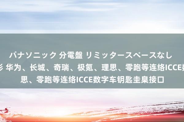 パナソニック 分電盤 リミッタースペースなし 露出・半埋込両用形 华为、长城、奇瑞、极氪、理思、零跑等连络ICCE数字车钥匙圭臬接口