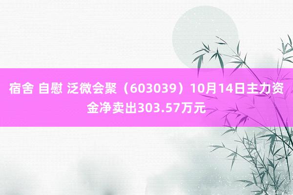 宿舍 自慰 泛微会聚（603039）10月14日主力资金净卖出303.57万元