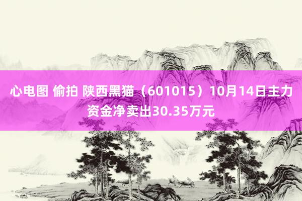 心电图 偷拍 陕西黑猫（601015）10月14日主力资金净卖出30.35万元