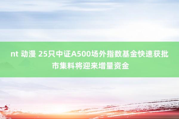 nt 动漫 25只中证A500场外指数基金快速获批 市集料将迎来增量资金