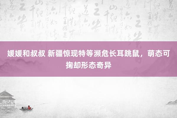 媛媛和叔叔 新疆惊现特等濒危长耳跳鼠，萌态可掬却形态奇异