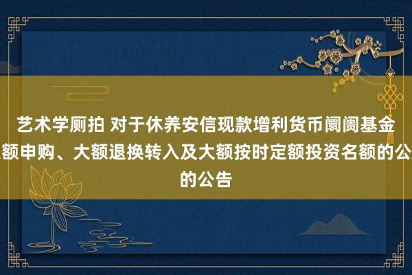 艺术学厕拍 对于休养安信现款增利货币阛阓基金大额申购、大额退换转入及大额按时定额投资名额的公告